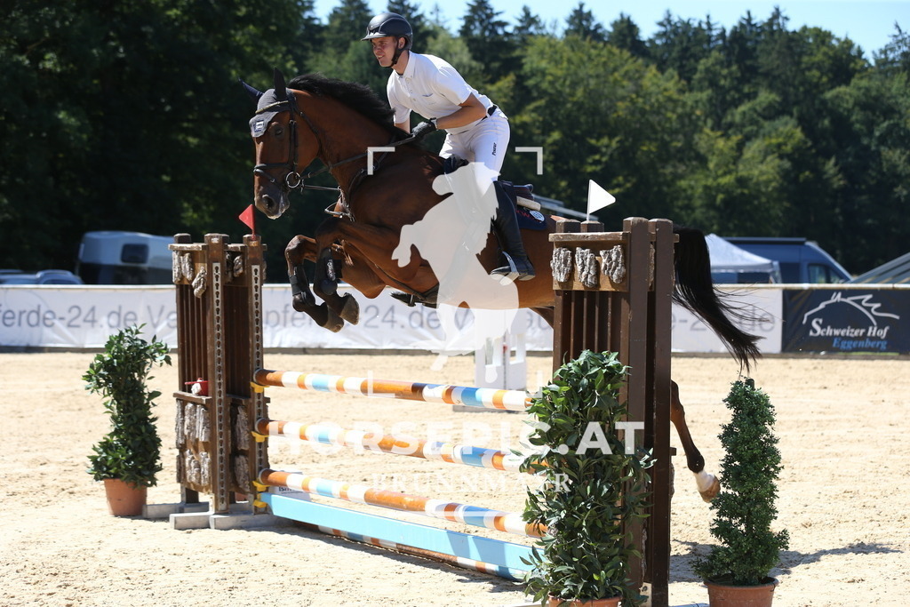 DL2Q9304 | Willkommen bei Brunnmayr - Design & Fotografie – Ihrem Spezialisten für Reitturniere und Pferdeveranstaltungen in Oberösterreich, Salzburg und Bayern! Seit über 17 Jahren sind wir leidenschaftlich dabei.