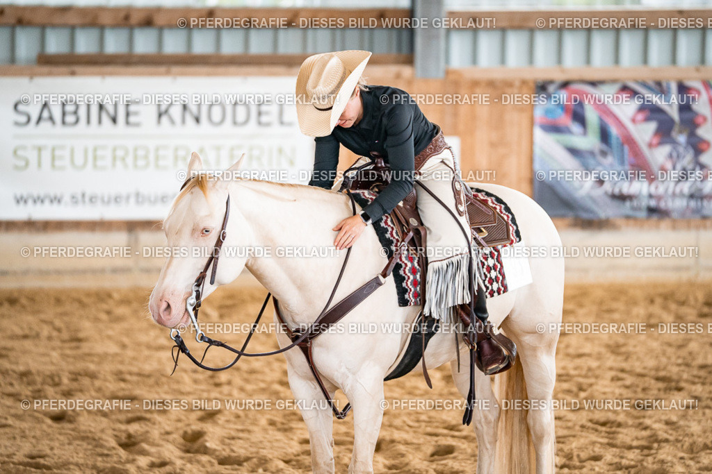 DSC00842 | Pferdegrafie