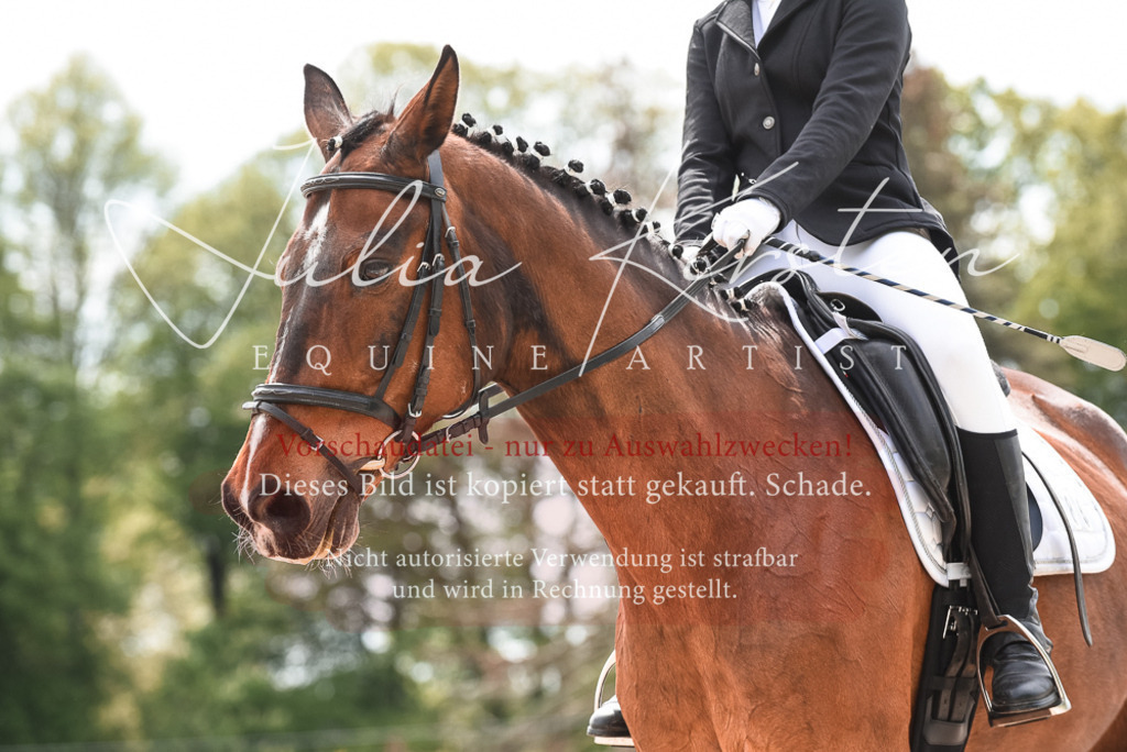 20230518_JK-Röhrsdorf-10-207 | Pferde- und Turnierfotografie in Westsachsen. Pferdeportraits, Auftragszeichnungen und intuitive Kunst.