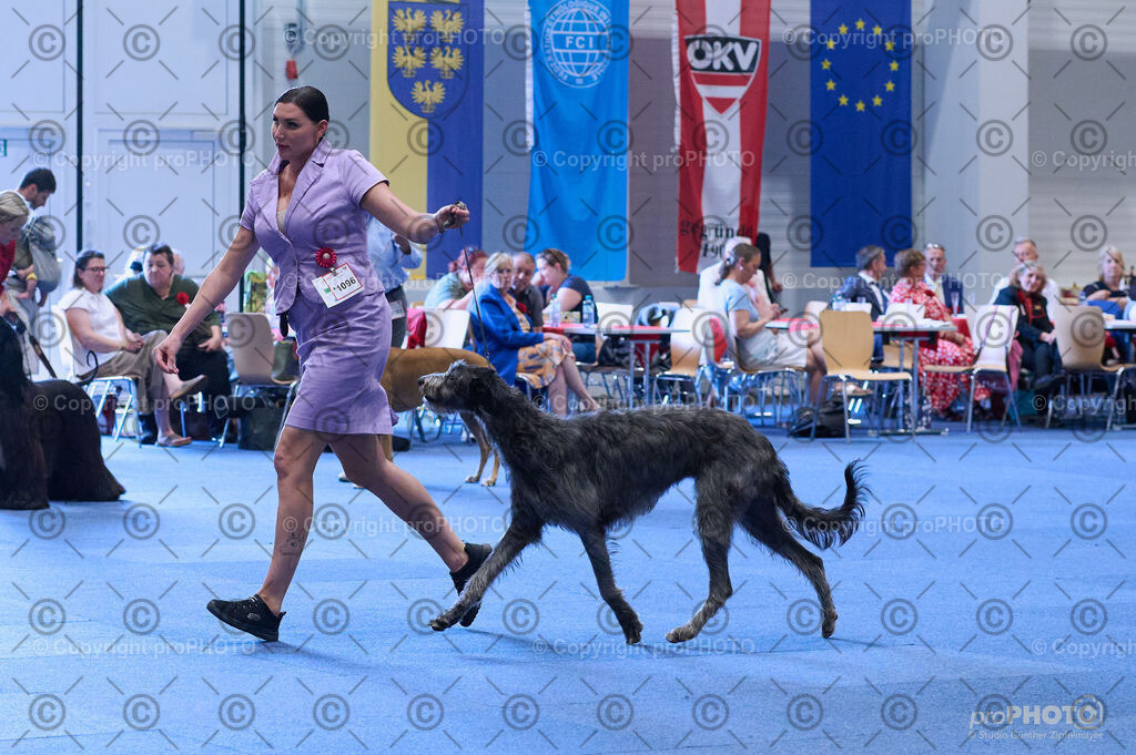 202406_ÖKV-IHA-Tulln24_DSC_4245 | proPHOTO - Realisiert mit Pictrs.com