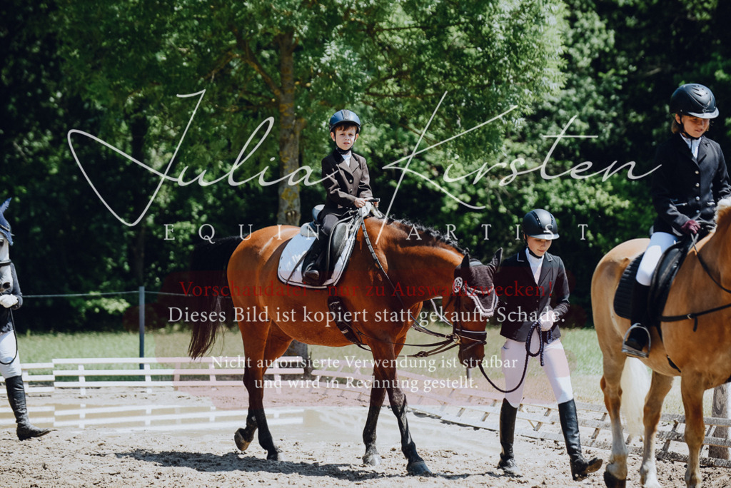 DSC_2129 | Pferde- und Turnierfotografie in Westsachsen. Pferdeportraits, Auftragszeichnungen und intuitive Kunst.