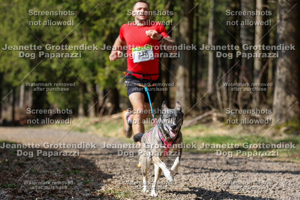 Dog Paparazzi - VCC26-273 | Dog Paparazzi Jeanette Grottendiek Fotografie & Videografie - Realisiert mit Pictrs.com