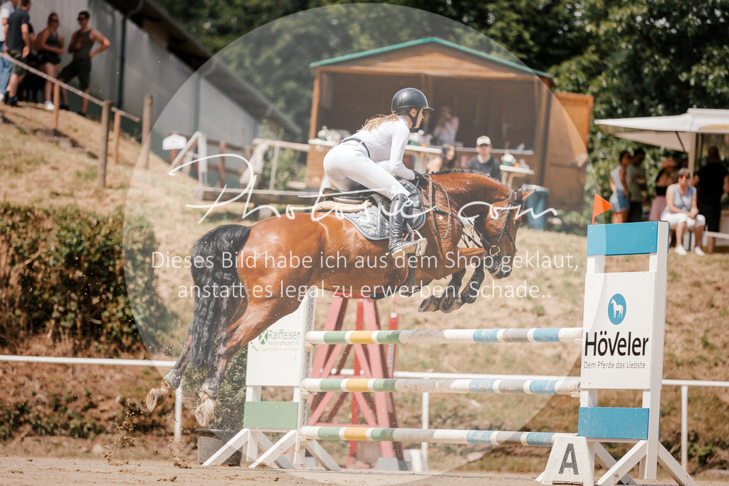 3I6A7747 | Stimmungsvolle Portraits und Reitsportfotografie im Ruhrgebiet und im Münsterland.

Pferdefotografie, Hundefotografie, Tierfotografie, Reportagen, Portraits von Tier und Mensch, Turnierfotografie in Bochum, Recklinghausen, Marl, Haltern am See, Dülmen.. - Realisiert mit Pictrs.com