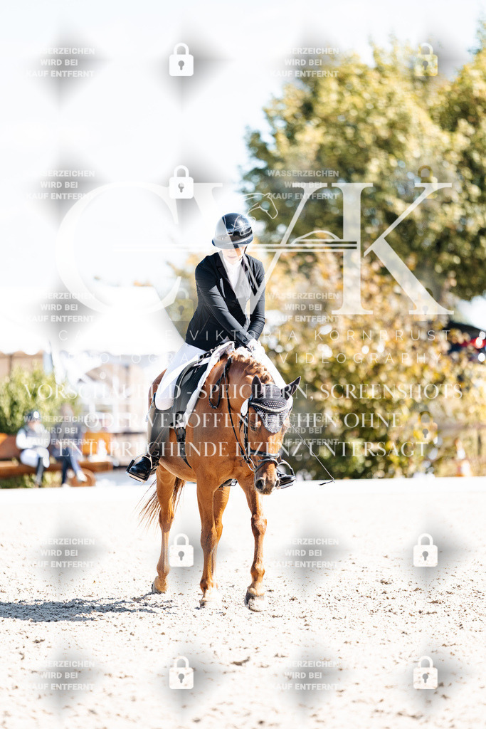 CK903646 | Turnierfotografie Pferdefotografie Trier Rheinland-Pfalz Pferdesport Reitsport Tierfotografie Sportfotografie Pferdevideo Pferdevideografie Equestrianvideography equestrianphotography  - Realisiert mit Pictrs.com