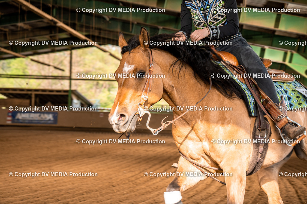 Balingen Tag 5-1062 | dv-media-shop - Realisiert mit Pictrs.com