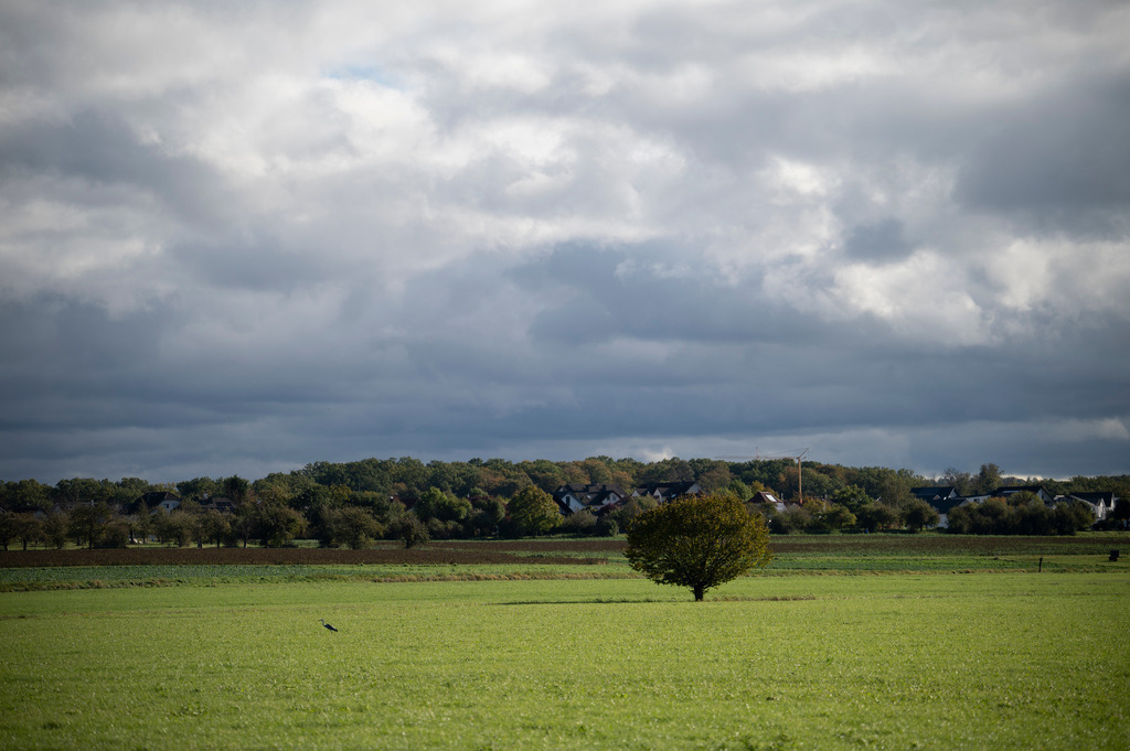 Mystische Bäume - Altenstadt, Deutschland | Die Mystik der Bäume unterscheidet sich je nach Jahreszeit  - Realisiert mit Pictrs.com