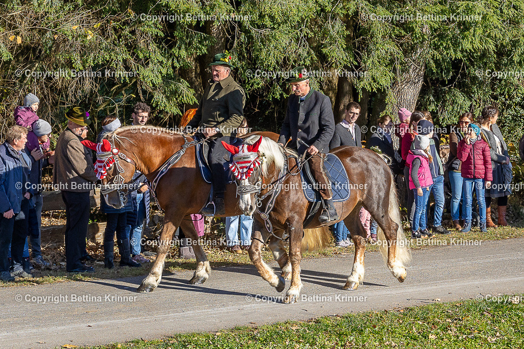 LBT25-127 | foto-bettina-krinner - Realisiert mit Pictrs.com