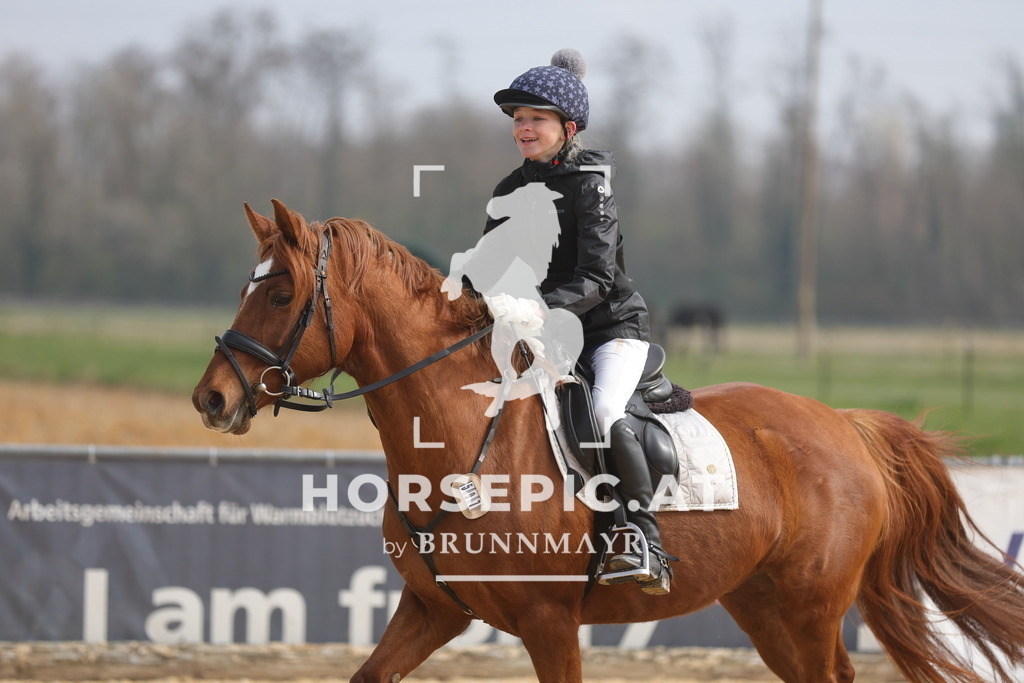 0P6A9242 | Willkommen bei Brunnmayr - Design & Fotografie – Ihrem Spezialisten für Reitturniere und Pferdeveranstaltungen in Oberösterreich, Salzburg und Bayern! Seit über 17 Jahren sind wir leidenschaftlich dabei.