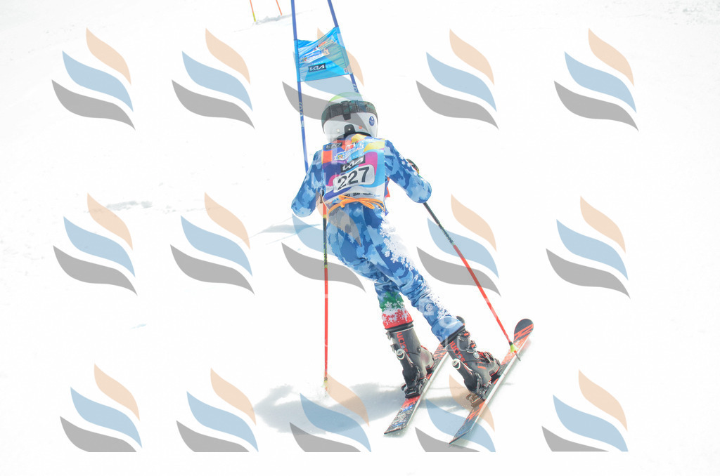 _ELE7261 | holidayphoto