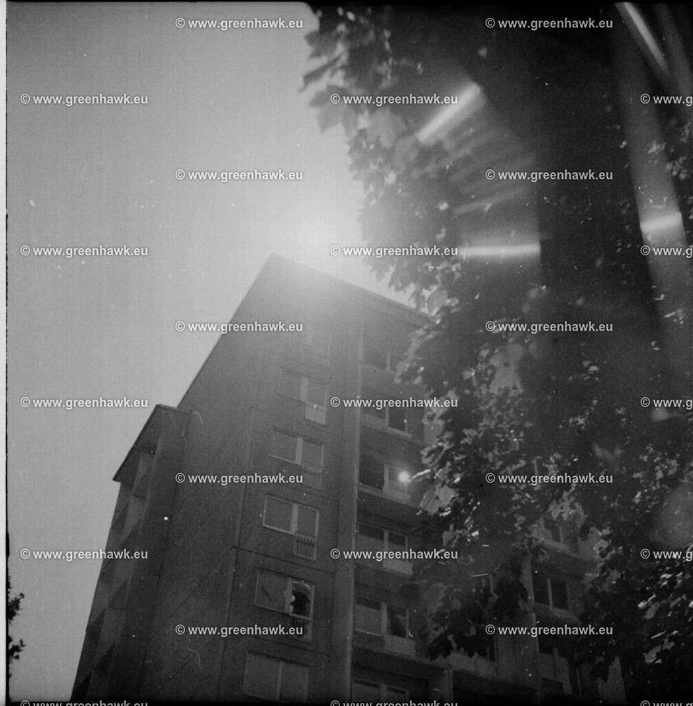 2026-08-22-0001 | Greenhawks Bilder Shop für Landschaften, Urban, Tiere und weiteres als Poster Leinwand oder Fotogeschenk für Ostern Weihnachten oder Geburtstag  - Realisiert mit Pictrs.com
