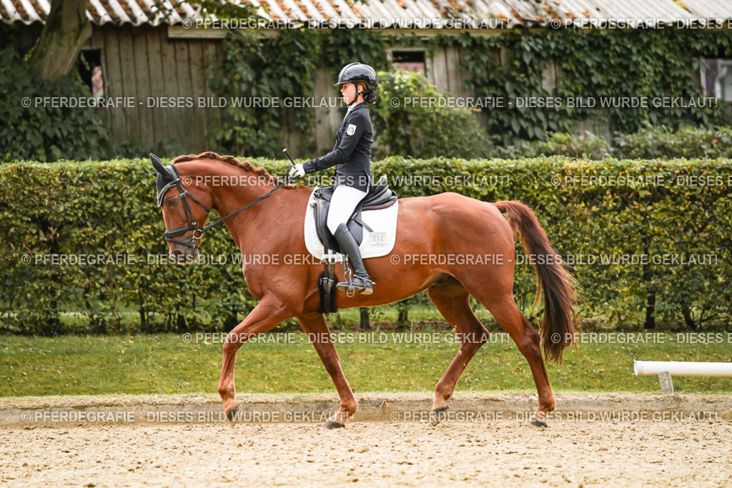 DSC01745 | Pferdegrafie