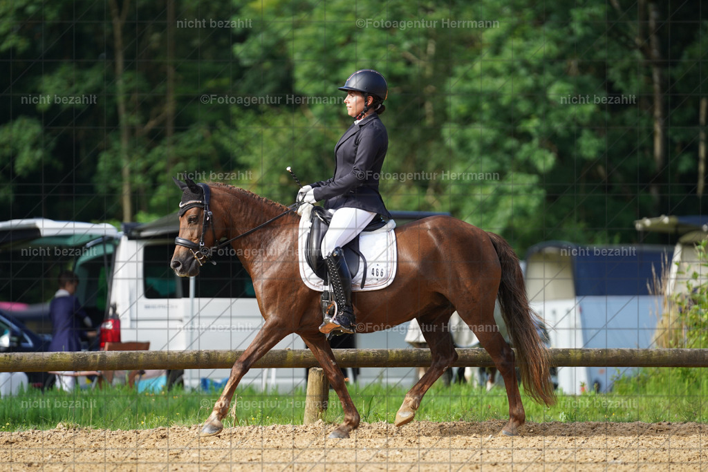 20240706-FAH04403 | Grafing Turnierfotos, Reitverein Ebersberg, Turnierfotografen Bayern, reitsportbilder, Pferdefotograf, reitsportfotograf, Sportbilder, Reitsportfotografie, Fotoagentur Herrmann, Turnierfotograf