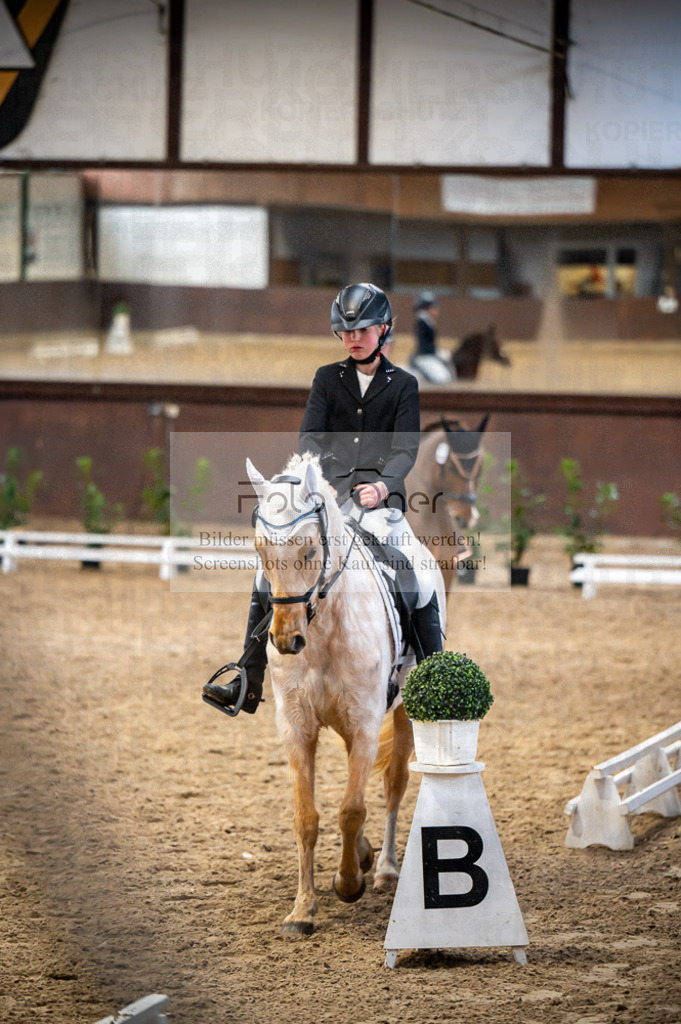 Hallenreittunier Voxtrup 2023 | Entdecke hochwertige Reitturnierfotos von Foto Oger. Professionell, emotional und authentisch – jetzt Lieblingsmomente im Shop bestellen.Deutschlandweite Turnierfotografie. - Realisiert mit Pictrs.com