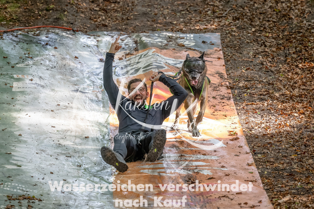 1229_ZZ90422-Bearbeitet | kk-dogfotos