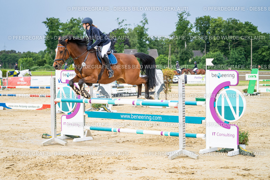 DSC03886 | Pferdegrafie