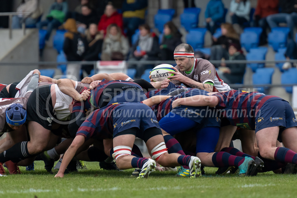 Rugby NLC - Rugby Club Winterthur - Rugby Club Würenlos | 28.03.2026 / Deutweg, WinterthurRugby NLC - Rugby Club Winterthur - Rugby Club WürenlosBild: Sportfotografie Markus Aeschimann | www.markus-aeschimann.ch - Realisiert mit Pictrs.com