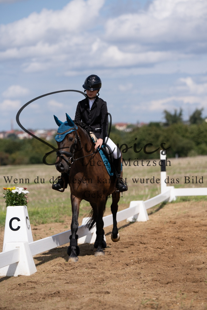 A7V03088 | Pferdefotograf