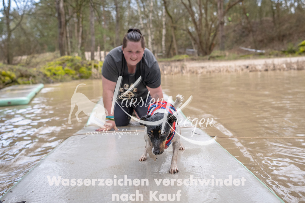 0937_ZZ90917-Bearbeitet | kk-dogfotos
