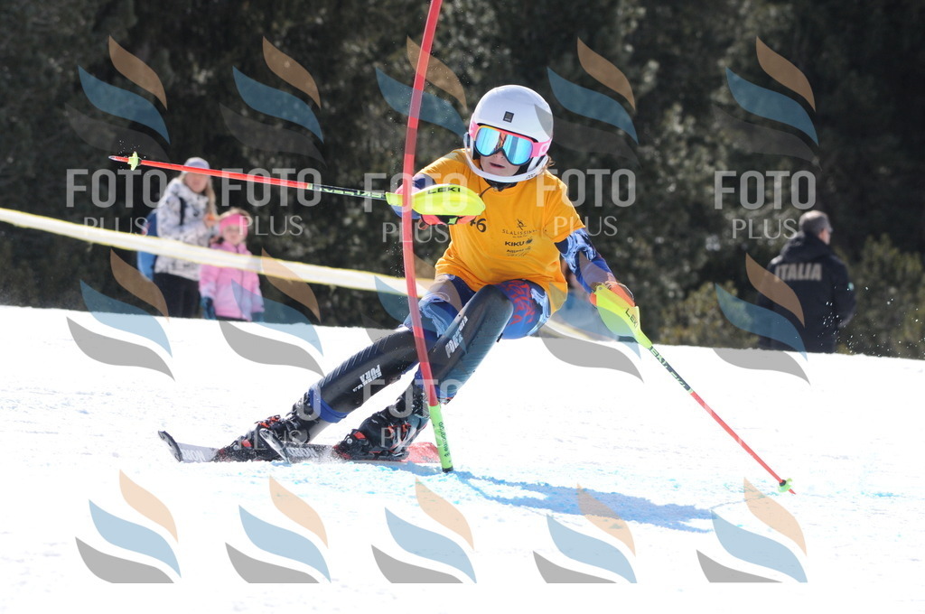 C8833 | holidayphoto