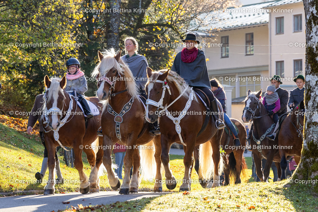 LL24-196 | foto-bettina-krinner - Realisiert mit Pictrs.com