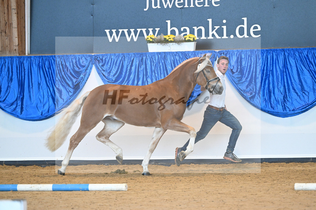 Kat-Nr. 18 Alois v. Amari_Reisberger_60220753 | hf-fotografie - Realisiert mit Pictrs.com
