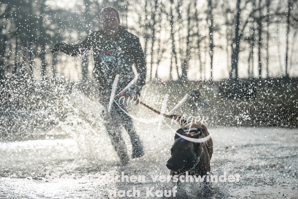 0833_ZZ97524 | kk-dogfotos