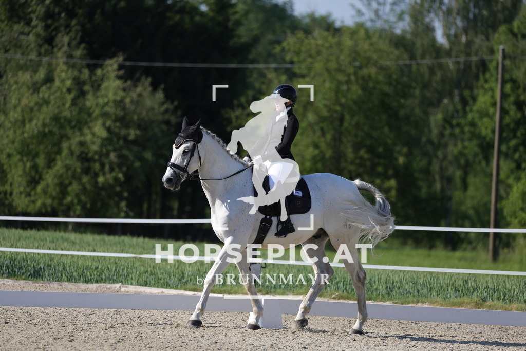0P6A0956 | Willkommen bei Brunnmayr - Design & Fotografie – Ihrem Spezialisten für Reitturniere und Pferdeveranstaltungen in Oberösterreich, Salzburg und Bayern! Seit über 17 Jahren sind wir leidenschaftlich dabei.