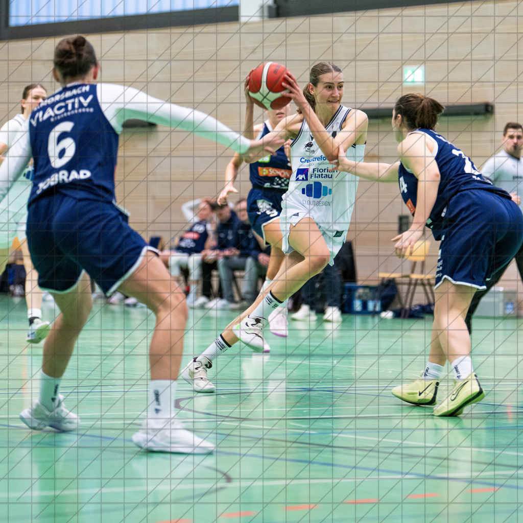 2. DBBL Nord 24/25 | 19.01.2025 | BBC OS vs. VfL VIACTIV-AstroLadies Bochum | 2. DBBL Nord 24/25 | 19.01.2025 | BBC OS vs. VfL VIACTIV-AstroLadies Bochum - - - - - CREDIT, www.bullenfotos.de, Martin König, Hörner Weg 40, D-49078 Osnabrück, +4917663732967, Nutzung und Weitergabe nur zu den vereinbarten Zwecken. Presseanfragen an Urheber. Alle Rechte beim Urheber. - - - - - - Realisiert mit Pictrs.com