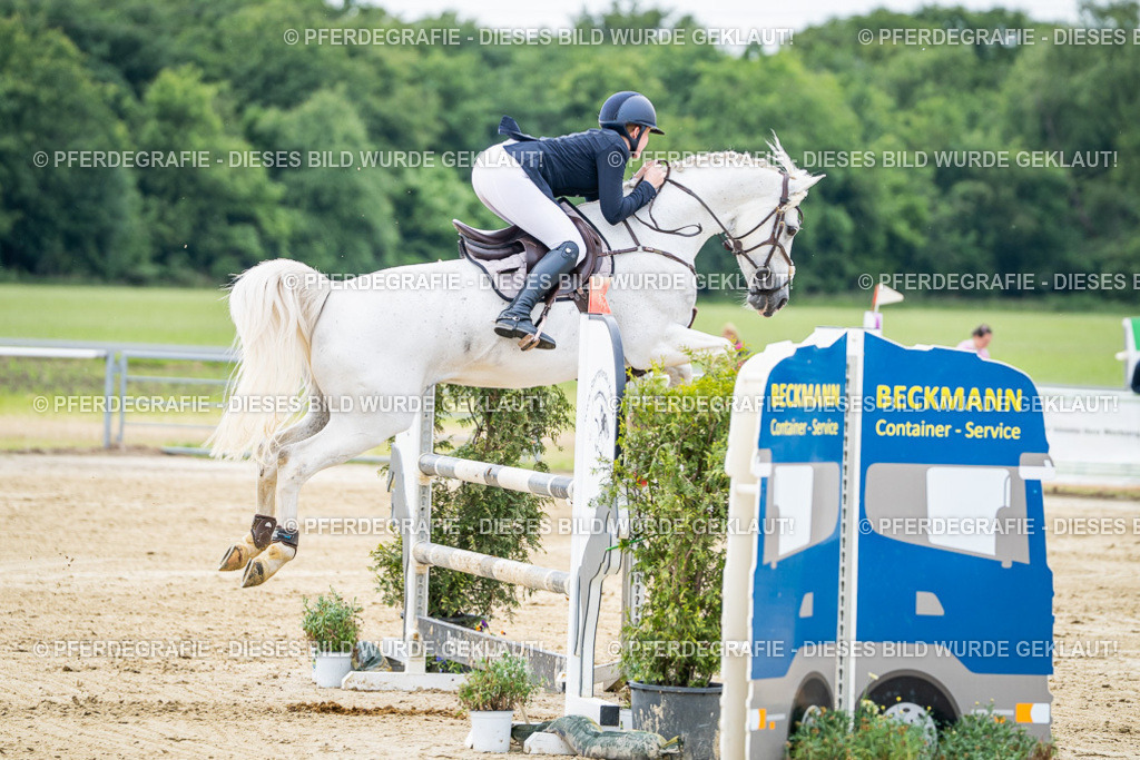 DSC05306 | Pferdegrafie