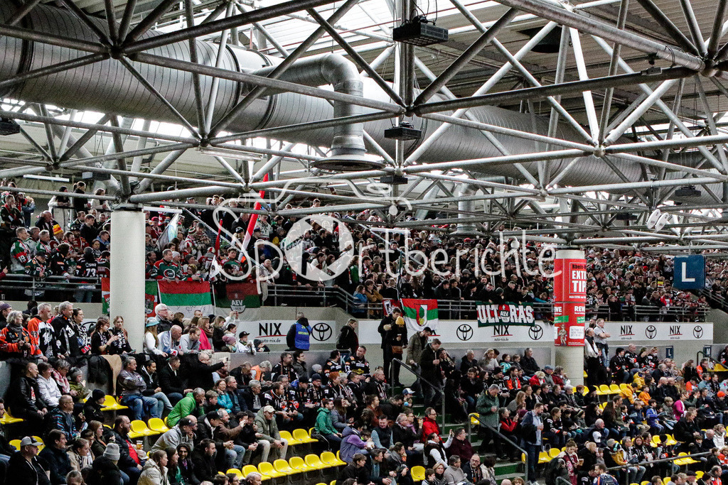 Löwen Frankfurt - Augsburger Panther | Die Fans der Augsburger sind in ordentlicher Anzahl mit nach Frankfurt gekommen