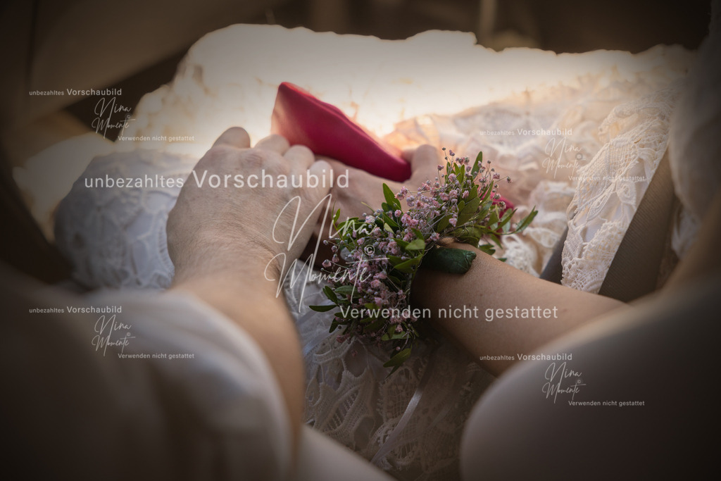 _16A9783-1 | Einzigartige Fotos von Hunden & Menschen –Actionfotos, Portraits, Vereinsaufnahmen & Paarshootings – authentisch, lebendig & mit Herz.