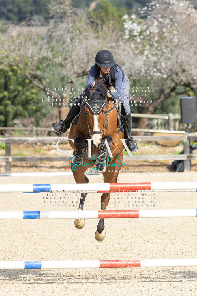 IMG_4507 | s-jay-photography - Realisiert mit Pictrs.com