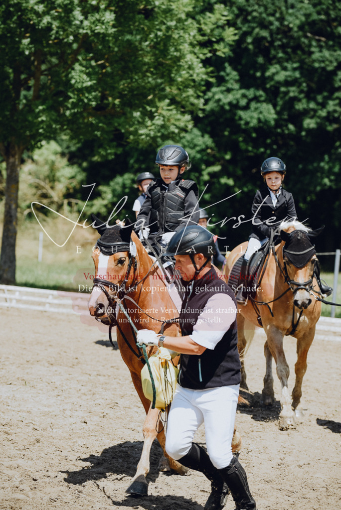 DSC_2705 | Pferde- und Turnierfotografie in Westsachsen. Pferdeportraits, Auftragszeichnungen und intuitive Kunst.
