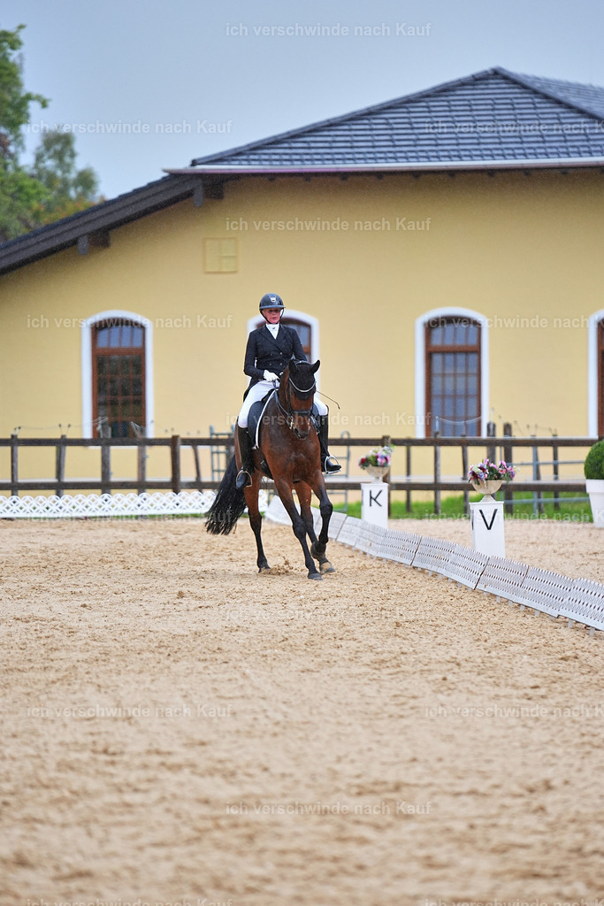 8_1-020-Klasse S_  -Marixx-4366 | working equitationturnier fotograf videograf stoibphotography marixx film working equitation deutschland reitsport turnierfotografie eventfotografie equestrian events