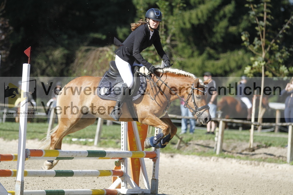 _MG_4237 | equestrian-live-com