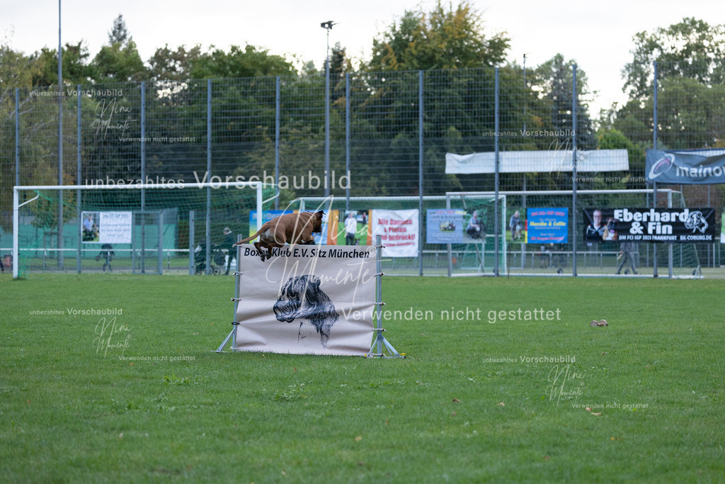 _16A4753 | Einzigartige Fotos von Hunden & Menschen –Actionfotos, Portraits, Vereinsaufnahmen & Paarshootings – authentisch, lebendig & mit Herz.