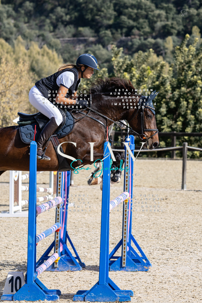 IMG_0597 | s-jay-photography - Realisiert mit Pictrs.com