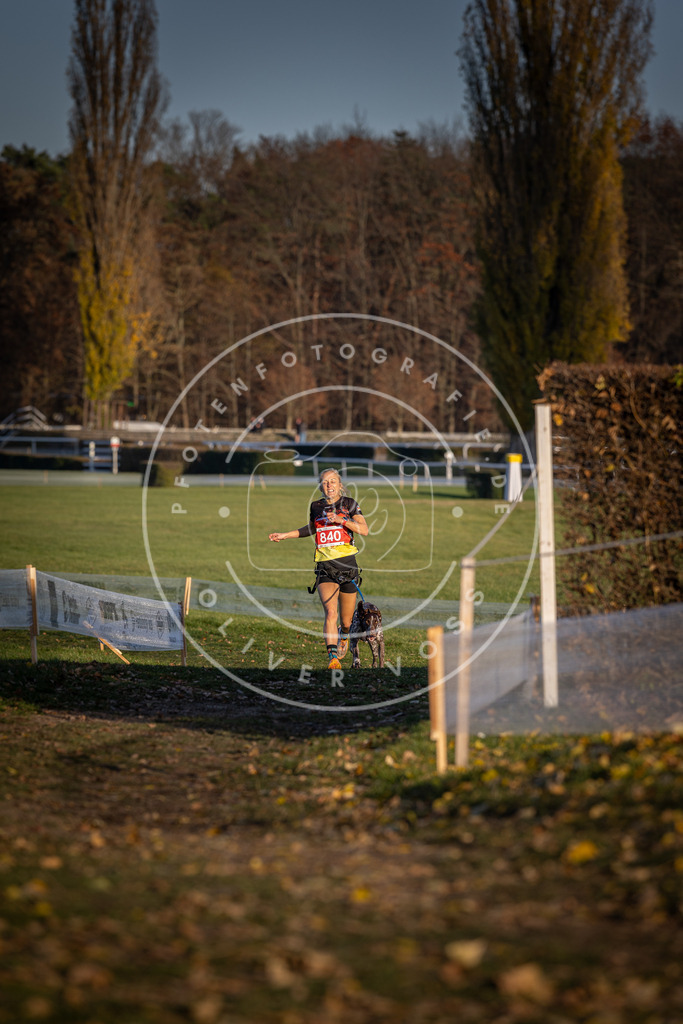 CaniXpix_DV3A3589 | Hundefotografie, Tierfotograf, Pfotenfotografie, Fotoshooting Hund, Hunde Portrait, Hundesport, Hundeportraits, Heideshooting, Hunde, Sportfotograf, Hundefotograf, Turnierhundsport, THS,  - Realisiert mit Pictrs.com