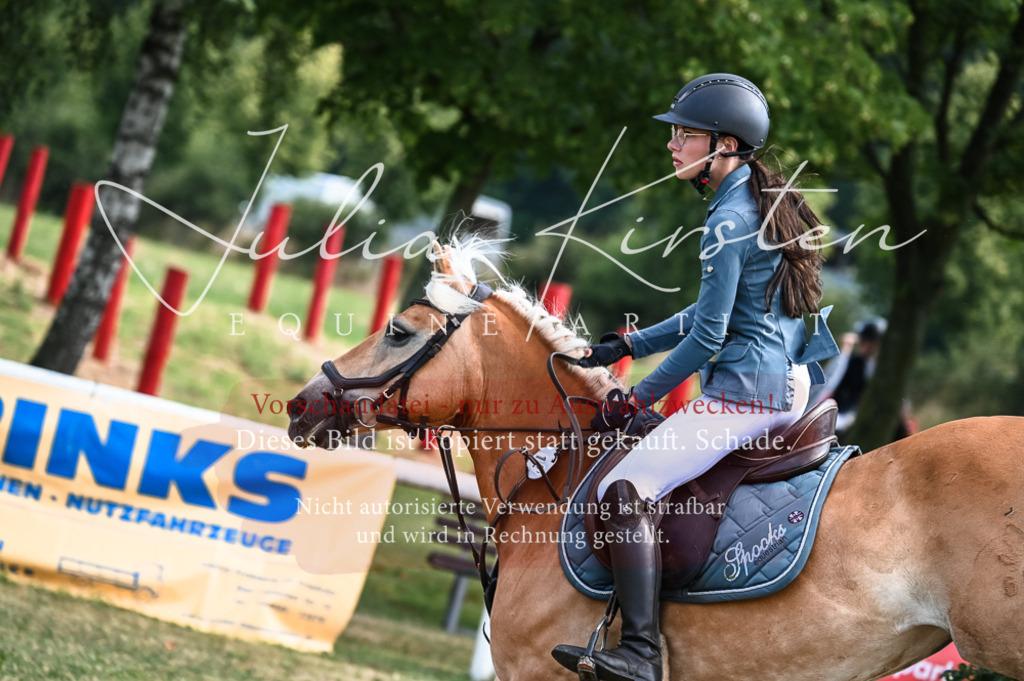 DSC_7936 | Pferde- und Turnierfotografie in Westsachsen. Pferdeportraits, Auftragszeichnungen und intuitive Kunst.