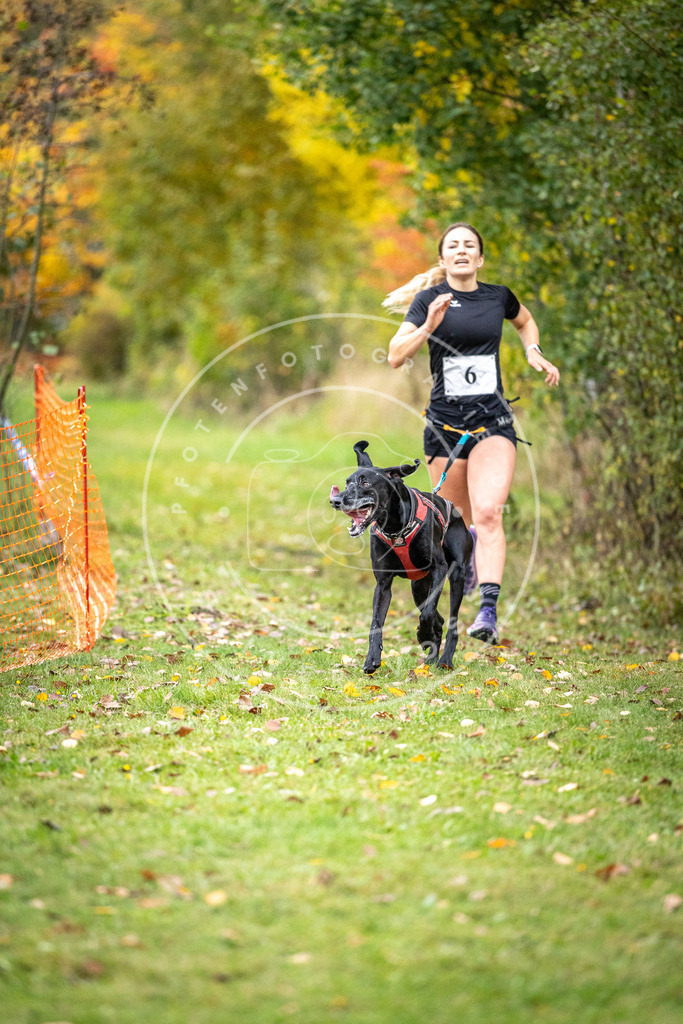 Pfotenfotografie_DV3A1721 | Hundefotografie, Tierfotograf, Pfotenfotografie, Fotoshooting Hund, Hunde Portrait, Hundesport, Hundeportraits, Heideshooting, Hunde, Sportfotograf, Hundefotograf, Turnierhundsport, THS,  - Realisiert mit Pictrs.com