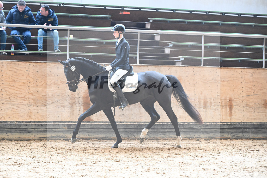 Kat-Nr. 8 Selma v. Don Royal_Eder_50250263 | hf-fotografie - Realisiert mit Pictrs.com