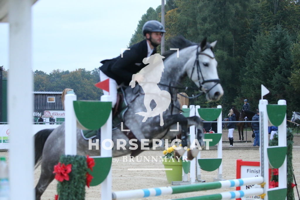 DL2Q3675 | Willkommen bei Brunnmayr - Design & Fotografie – Ihrem Spezialisten für Reitturniere und Pferdeveranstaltungen in Oberösterreich, Salzburg und Bayern! Seit über 17 Jahren sind wir leidenschaftlich dabei.