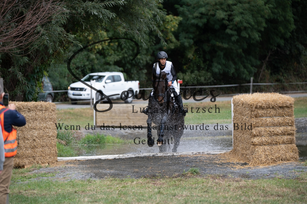 A7V00710 | Pferdefotograf