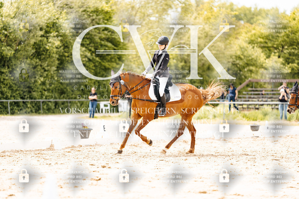 CK902365 | Turnierfotografie Pferdefotografie Trier Rheinland-Pfalz Pferdesport Reitsport Tierfotografie Sportfotografie Pferdevideo Pferdevideografie Equestrianvideography equestrianphotography  - Realisiert mit Pictrs.com