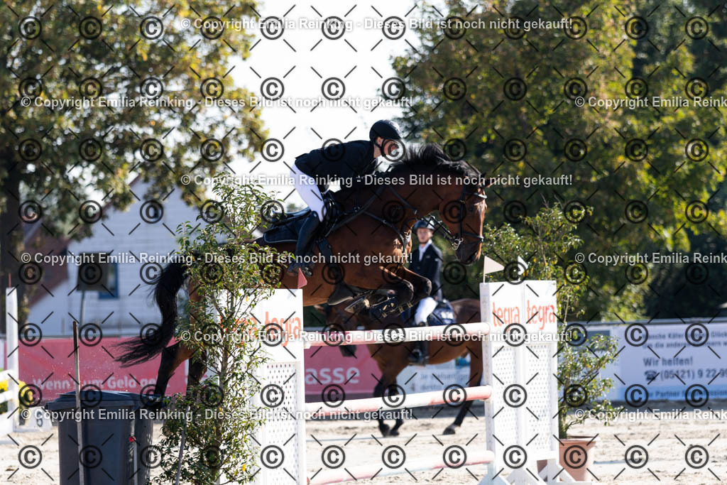 CL5A6006 | Emilia Reinking Fotografie - Realisiert mit Pictrs.com