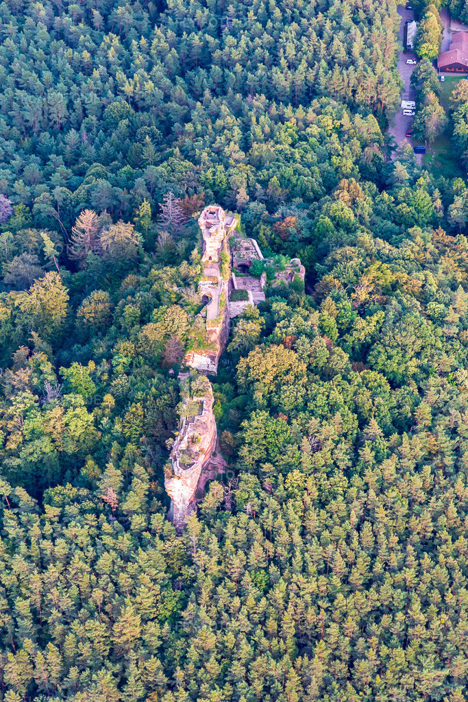 Luftbild: Burg Drachenfels in Busenberg im Bundesland Rheinland-Pfalz in Deutschland. Foto: IMG_139075.jpg vom 30.09.2023 durch Werner Riehm/FLY-FOTO.deWWW.WANDERPARADIES-WASGAU.DE