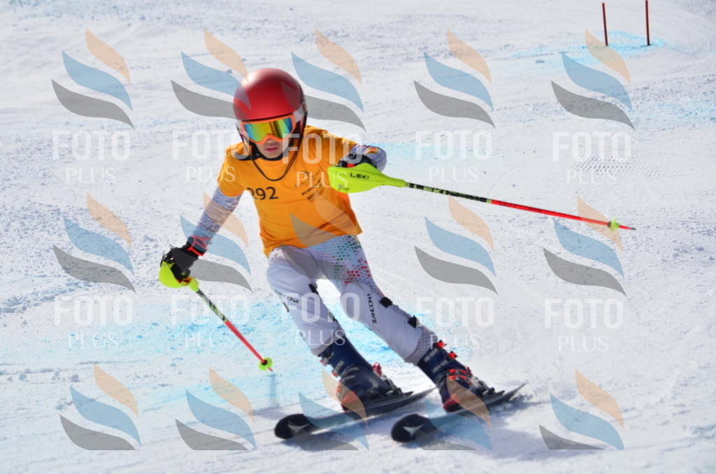 C8707 | holidayphoto