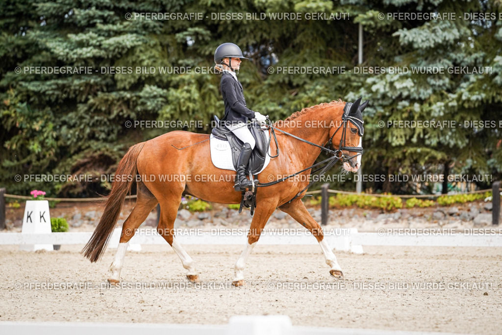 DSC02603 | Pferdegrafie