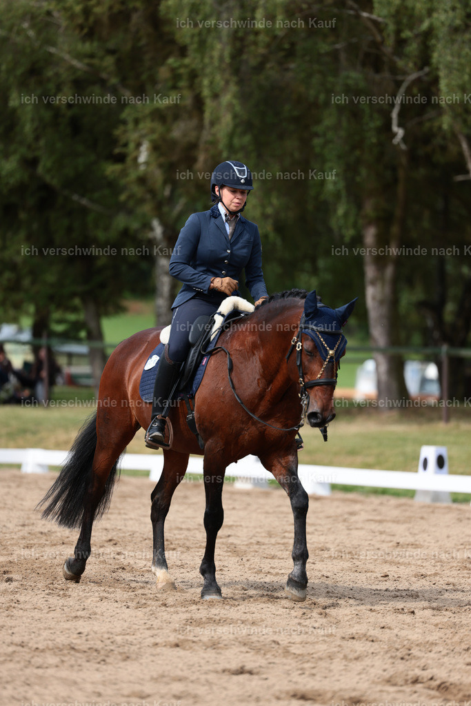 Masterclass_stoibphotography_C2_L4929.JPG | working equitationturnier fotograf videograf stoibphotography marixx film working equitation deutschland reitsport turnierfotografie eventfotografie equestrian events