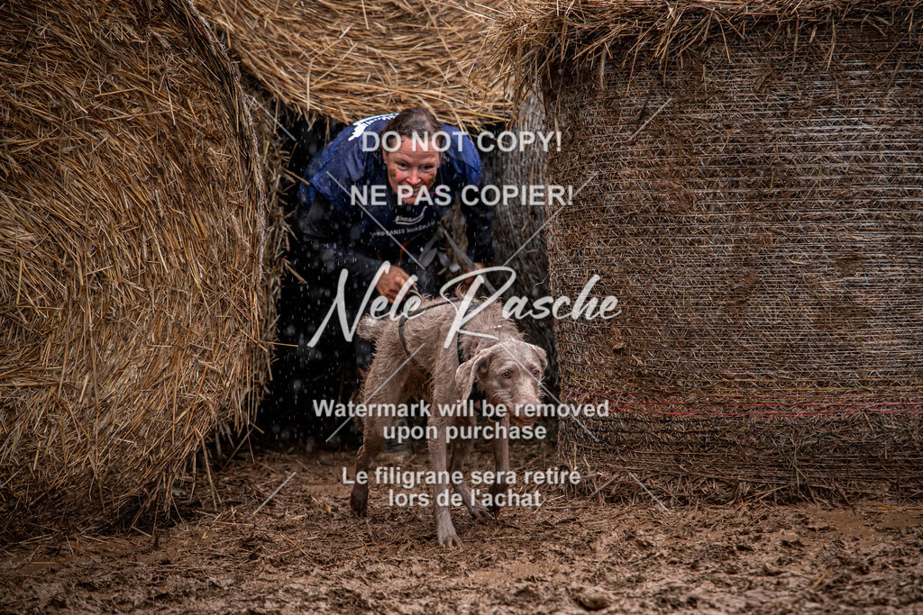 nelerasche_Hunsrück_So09-11_126 | nelerasche